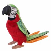 オウム レッド [No.3326]