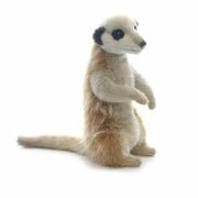 ミーアキャット [No.3703]