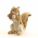 木の実付きアカリス [No.3745]