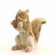 木の実付きアカリス [No.3745]