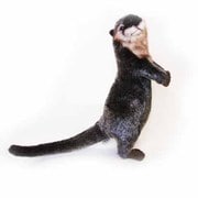 カワウソ [No.3814]