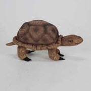 ウッドタートル [No.3840]