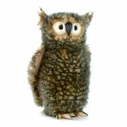 フクロウ [No.4466]
