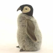 赤ちゃんコウテイペンギン [No.4668]