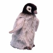 赤ちゃんコウテイペンギン [No.4669]