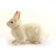 ユキウサギ [No.4671]