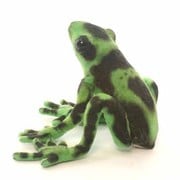 グリーンヤドクガエル [No.5224]