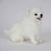 サモエードケン [No.5267]