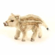 赤ちゃんイノシシ [No.5341]