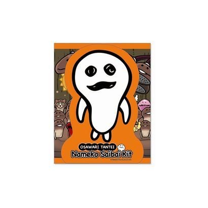 NAM-34006 [レターセット なめこ栽培 ゲーム]