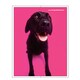 フォトポケット40P[Bestiola] ドッグMG BTL-16-13