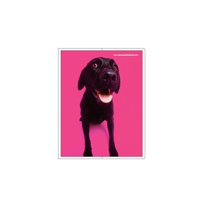 フォトポケット40P[Bestiola] ドッグMG BTL-16-13