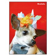 B5ノート[Bestiola] ドッグRD BTL-22-05