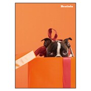 B5ノート[Bestiola] ドッグOR BTL-22-06
