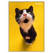 B5ノート[Bestiola] キャットYE BTL-22-07