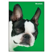 B5ノート[Bestiola] ドッグGR BTL-22-09