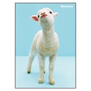 B5ノート[Bestiola] ヒツジ BTL-22-11