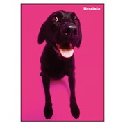 B5ノート[Bestiola] ドッグMG BTL-22-13