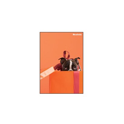 A5ノート[Bestiola] ドッグOR BTL-23-06