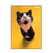 A5ノート[Bestiola] キャットYE BTL-23-07