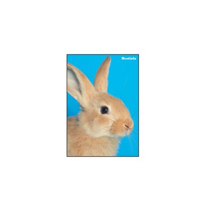 A5ノート[Bestiola] ラビットBL BTL-23-12