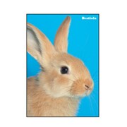 A5ノート[Bestiola] ラビットBL BTL-23-12