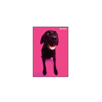 A5ノート[Bestiola] ドッグMG BTL-23-13