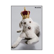 A5ノート[Bestiola] ドッグKG BTL-23-15