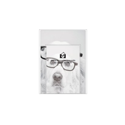 A5レターセット[Bestiola] ドッグGL BTL-35-02