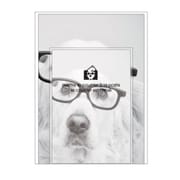A5レターセット[Bestiola] ドッグGL BTL-35-02