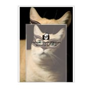 A5レターセット[Bestiola] キャットBK BTL-35-03