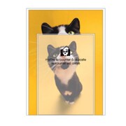 A5レターセット[Bestiola] キャットYE BTL-35-07