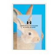 A5レターセット[Bestiola] ラビットBL BTL-35-12