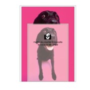 A5レターセット[Bestiola] ドッグMG BTL-35-13