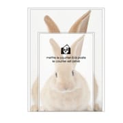 A5レターセット[Bestiola] ラビットWH BTL-35-16