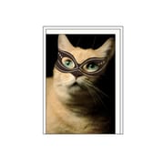 ミニカード[Bestiola] キャットBK BTL-MC-03
