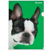 A4クリアホルダー Bestiola ドッグGR BTL-32-09