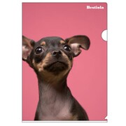 A4クリアホルダー Bestiola ドッグPK BTL-32-14