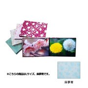 ハートスケープ ワサイ L アサユメアオ