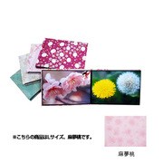 ハートスケープ ワサイ L アサユメモモ