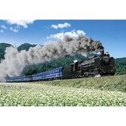 48-708 [ジグソーパズル 憧れのSL D51 498 300ピース]