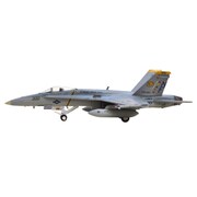 WA22101 [1/200 F/A-18C VFA-192 ゴールデン･ドラゴンズ NF300]