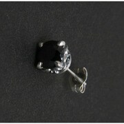 ピアス NC-LE97