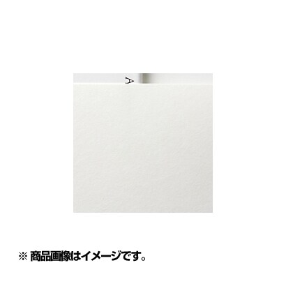 プレミオ 楮 白 大四切(10) IJ6502