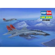 80368 [エアクラフト シリーズ F-14D　スーパートムキャット]