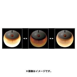 スノーピーク ソリッドステートランタン ほおずき ES-010R Amazon.co.jp: スノーピーク(snow peak) ソリッドステート