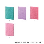 マーメイドラメダイアリー 2013年月間B6サイズ ブルー RFD1323A