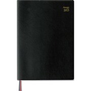 日付入ダイアリー 2013年 アポイント デスク B5 E1035
