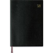 日付入ダイアリー 2013年 アポイント デスク A5 E1036