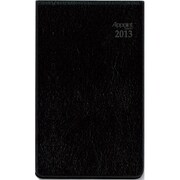 日付入ダイアリー 2013年 アポイント 本革 縦開 E1051